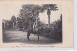 LUNEL VIEIL : Un Chasseur En Promenade - Très Bon état - Lunel