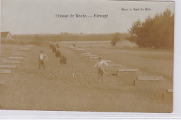 TROSLY BREUIL : Carte Photo De RHETZ - élevage - Très Bon état - Altri & Non Classificati