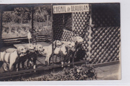 LIMOGES : Carte Photo Du Chenil De BEAUBLANC (chien De Chasse) - Très Bon état - Limoges