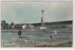 VAL DE MERCY : Vue D'une Des Pépinières (éolienne) - Bon état (un Petit Pli D'angle) - Andere & Zonder Classificatie