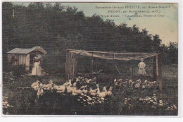 POIGNY Par Rambouillet : Faisanderie BRIELLE Aux Basses Masures - Ferme (toillée) - Très Bon état - Autres & Non Classés