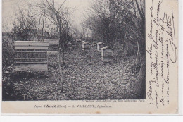 APIER D'ANDE : Apiculteur Vaillant (apiculture - Abeilles) - Très Bon état - Other & Unclassified