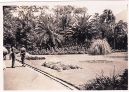 Photo Originale - South Africa - Afrique Du Sud - 1941 - CAP TOWN - LE CAP -Lions Head A Camps Bay Gardens - Plaatsen