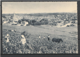 51 - REIMS - Champagne Pommery & Greno - Vue Générale - Premier Cru De Raisins Noirs - Reims