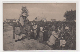 HYERES : Les Vendanges - L'arrivée Aux Vignes (ND - Neurdein) - Très Bon état - Hyeres