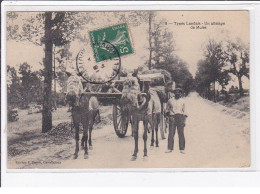 TYPES LANDAIS : Un Attelage De Mules - Très Bon état - Autres & Non Classés