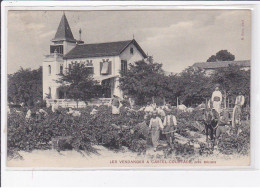 Les Vendanges à CASTEL COURTADE Près BEZIERS - Très Bon état - Autres & Non Classés