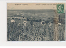 GRAUVES - Vignobles De La Maison Perchat - Au Pays Du Champagne - Très Bon état - Andere & Zonder Classificatie