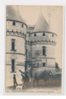 CHAUMONT SUR LOIRE - Château De Chaumont Sur Loire - Promenade De L'éléphant - Très Bon état - Altri & Non Classificati