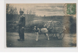 LANGEAIS - Un Attelage à Chiens - Très Bon état - Langeais