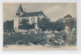 BEZIERS - Les Vendanges à Castel-Courtade - état - Beziers