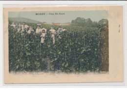 MOREY - Clos Du Tard (vignes - Vendanges) - Très Bon état - Other & Unclassified