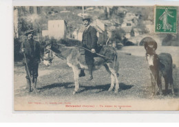 BELCASTEL (Aveyron) - Un Moyen De Locomotion - Anes - état - Sonstige & Ohne Zuordnung