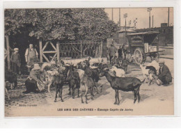 JUVISY : Les Amis Des Chèvres - élevage Caprin De Juvisy - Très Bon état - Juvisy-sur-Orge