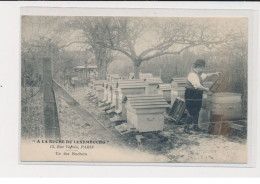 PARIS - A La Ruche Du Luxembourg - Apiculture 15 Rue Vavin - Un Des Ruchers - 75006 - Très Bon état - District 06