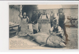 Thon Géant Capturé Par Le Dundee Ste Marie, Du Port De Folkestone - 1910 - état - Autres & Non Classés