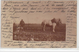 VILLENEUVE LE COMTE : Carte Photo D'une Scène De Labours En 1903 - Très Bon état - Autres & Non Classés