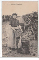 Vendanges En Libournais (vignes - Vins) - Très Bon état - Libourne