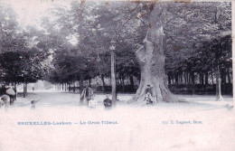 LAEKEN - BRUXELLES - Le Gros Tilleul - Laeken