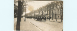 Dép 49- Animaux - Chevaux - Militaria - Militaires - Régiments - Régiment - Angers  ? - Carte Photo - A Identifier -état - Angers