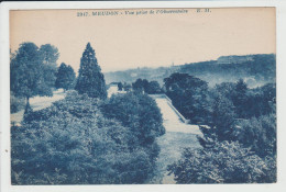 MEUDON - HAUTS DE SEINE - VUE PRISE DE L'OBSERVATOIRE - Meudon