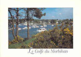 56 - Le Golfe Du Morbihan - Les Rives Du Golfe Du Morbihan - Sonstige & Ohne Zuordnung