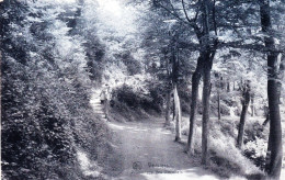 Liege - VERVIERS -   Promenade Des Recollets - Verviers