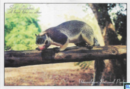 Sri Lanka Postcards, Giant Squirrel, Udawalawa National Park, Postcrossing - Sri Lanka (Ceilán)