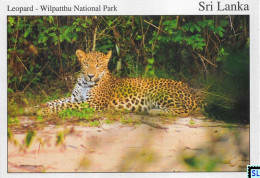 Sri Lanka Postcards, Leopard, Wilpattu National Park, Postcrossing - Sri Lanka (Ceilán)