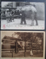 Indochine Lot 2  Cpa Elephant Saigon - Viêt-Nam