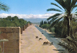 1 AK Marokko * Die Stadtmauer In Marrakesch - Seit 1985 UNESCO Weltkulturerbe - Im Hintergrund Das Atlas Gebirge * - Marrakech