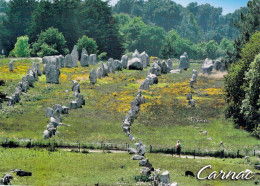 56 - Carnac - Les Alignements De Menhirs - Vue Aérienne - Carnac