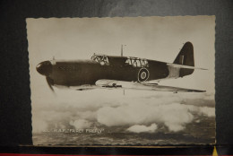 CP, AVION, Aviation, Militaria, R.A.F. Fairey "FIREFLY" Chasseur De Reconnaissance , Royal Navy , Vierge , Ed. Superluxe - 1939-1945: 2de Wereldoorlog