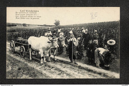 AGRICULTURE - VIGNES - LES VENDANGES - Poésie - Attelage - Boeufs - Wijnbouw