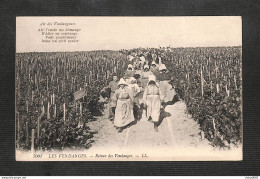 AGRICULTURE - VIGNES - LES VENDANGES - Retour Des Vendanges - Vigne