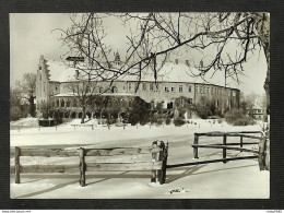 ALLEMAGNE - Photo Carte - BURGSTEINFURT - Schloss  - Steinfurt