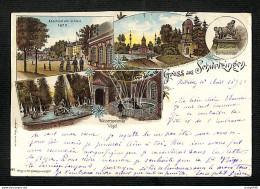 ALLEMAGNE - SCHWETZINGEN - Gruss Aus .... - 1899 - RARE - Schwetzingen