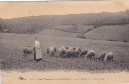 LES  TRAVAUX  Des  CHAMPS,,,,LA  GARDE  Du TROUPEAU,,,,,VOYAGE  1908,,,BE,,, - Allevamenti