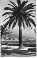 2A-CORSE -  AJACCIO -  Boulevard. Albert1° - Ajaccio