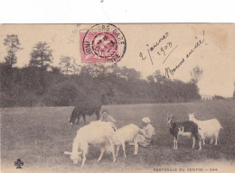 PASTORALE  DU  CENTRE ,,,, JOLIE CARTE ,,,,,VOYAGE  1908,,,,, - Crías