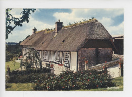 Charmes Et Couleurs De La Normandie - Chaumière Normande N°149 Cigogne - Haute-Normandie