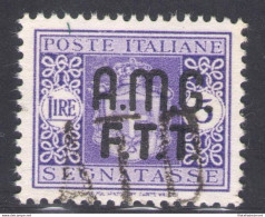 1947 TRIESTE A Segnatasse 5 Lire Violetto Senza Filigrana Usato Centratissimo 4A - Otros & Sin Clasificación