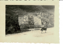 Ref 1 - Photo : Sur La Route Du Linge à Hohrodberg , Alsace  - France . - Europa