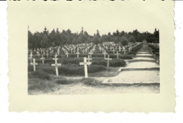 Ref 1 - Photo : Cimetière Militaire Allemand Du Linge à Hohrodberg , Alsace  - France . - Europa