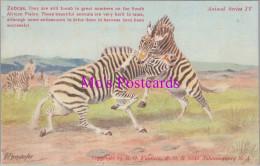 Animals Postcard - Zebras, South Africa   DZ217 - Zèbres