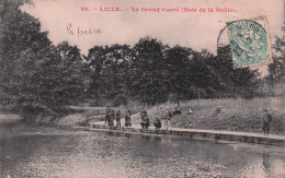 LILLE-le Grand Carré (bois De La Deûle) - Lille