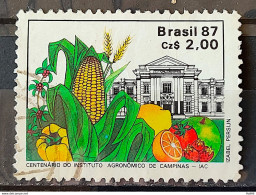 C 1553 Brazil Stamp 100 Years Agronomic Institute Of Campinas Education Corn 1987 Circulated 2 - Usati