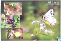 Sri Lanka Postcards, Butterflies, Wilpattu National Park, Postcrossing - Sri Lanka (Ceilán)