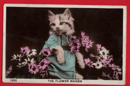 CATS   DRESSED IN BLUE GOWN   THE FLOWER MAIDEN   RP - Katten