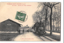 CPA 45 Mareau Saint Fiacre La Gare Et Le Train Tramway - Other & Unclassified